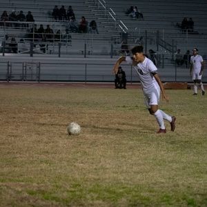 Meet your Posher, Jerry